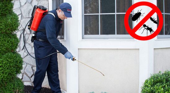 Altıevler Fare İlaçlama böcek ilaçlama ve haşere kontrolü — ilaclama-tr.com